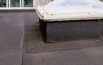 disadvantages of Pantymwyn flat roofs